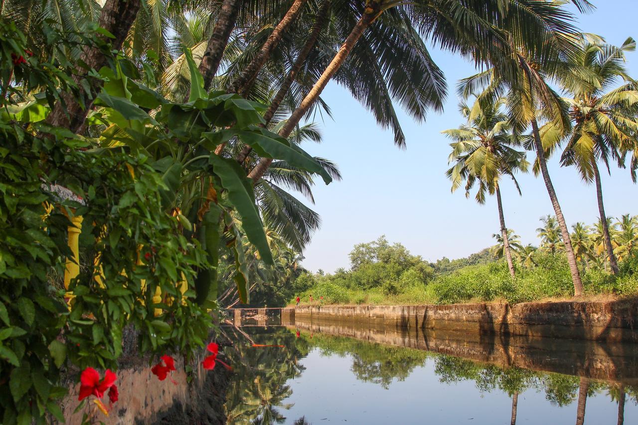 Agonda Palace Resort Mormugao Exterior foto